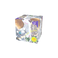 Новогодняя ночь Салют купить в Алагире | alagir.salutsklad.ru