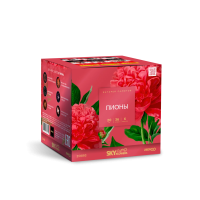 Пионы Салют купить в Алагире | alagir.salutsklad.ru