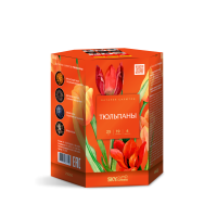 Тюльпаны Салют купить в Алагире | alagir.salutsklad.ru