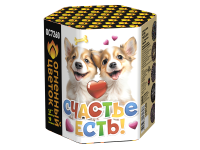 Счастье есть! Салют купить в Алагире | alagir.salutsklad.ru