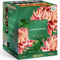 Хризантемы Фейерверк купить в Алагире | alagir.salutsklad.ru