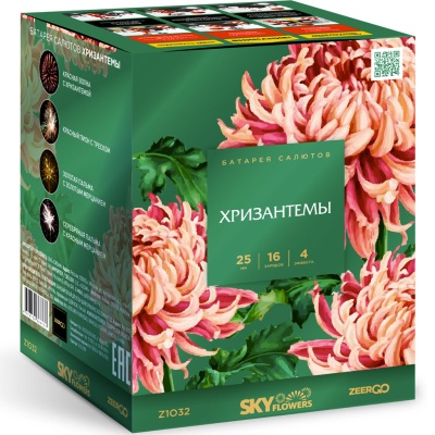Хризантемы Фейерверк купить в Алагире | alagir.salutsklad.ru