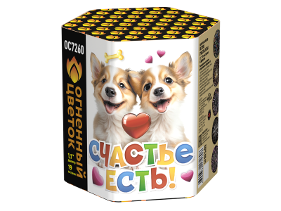 Счастье есть! Салют купить в Алагире | alagir.salutsklad.ru